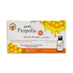Apia Propolis Solution Buvable 10 Flacon 15ml