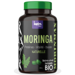 Hydra Moringa Morinmax