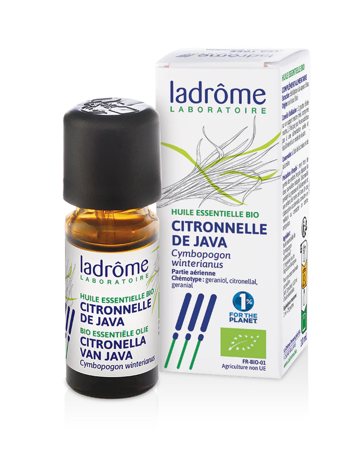 LADROME Huile Essentielle Citronnelle de Java 10ml Huile Essentielle Pure Naturelle Aromathérapie Répulsive Anti-Moustiques LADROME Huile Essentielle Citronnelle de Java 10ml Huile Essentielle Pure Naturelle Aromathérapie Répulsive Anti-Moustiques
