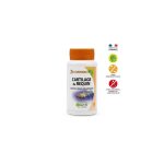 Mgd Cartilage de Requin Boite 200 Gélules