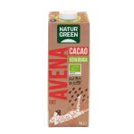 NATURE GREEN Boisson Coco Calcium Nature 1L Lait Végétal Coco Bio Enrichi Calcium Sans Lactose Naturel