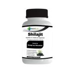NUTRILAB Shilajit 60 Gélules Adaptogène Énergie Vitalité Performance Physique Mentale Récupération Adultes