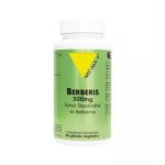 VIT&rsquo;ALL+ BERBERIS 500 MG COMPLEMENT ALIMENTAIRE 60 GELULES