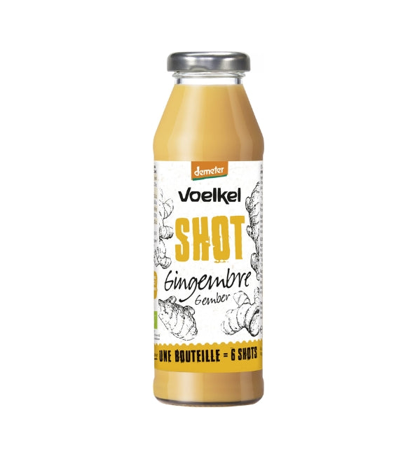 VOELKEL Shot Gingembre Bio 280ml Shot Gingembre Immunité Vitalité Digestion VOELKEL Shot Gingembre Bio 280ml Shot Gingembre Immunité Vitalité Digestion