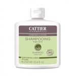Cattier Shampooing Argile Vert Cuir Chevelu Gras 250ml