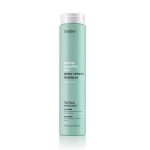 ERAYBA ABH Detox Refresh Shampooing - Shampooing Détox Purifiant Naturel 250ml