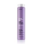 Erayba Abh Silver Shampooing No-yellow 250ml