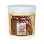 Fenioux Repas Minceur Chocolat Pot 350 Gr
