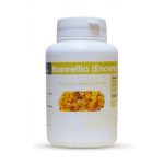 GPH Boswellia Encens Extrait Gélules à 270 mg