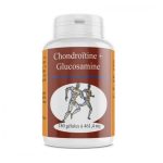 GPH Diffusion Chondroïtine Glucosamine 461.4mg 180 Gélules