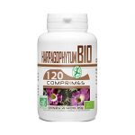 GPH Diffusion Harpagophytum Bio 400mg 100Comprimes