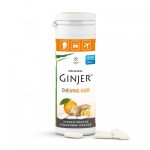 Ginjer Chewing-Gum Orange 30g