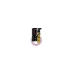 Anivagene Lotion Tonique Cheveux Femme 125ml