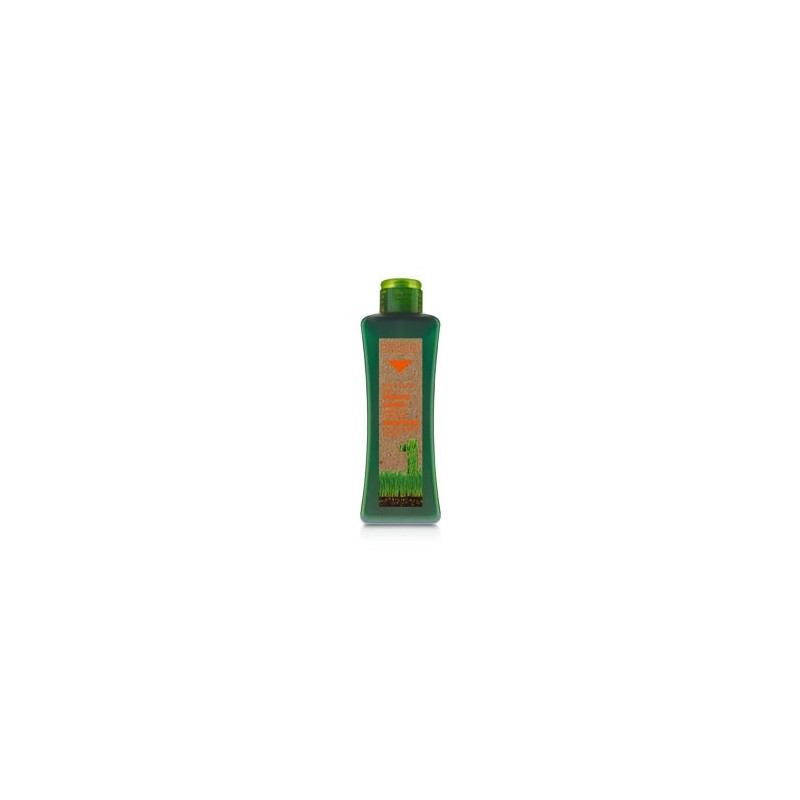 biokera-shampoing-cheveux-traites-300-ml Biokera Shampoing Cheveux Traités 300 ml