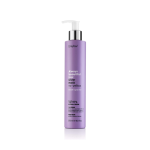 Erayba Silver NO Yellow Masque 250 ml