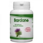 GPH DIFFUSION Bardane 250 Mg 100 Gélules