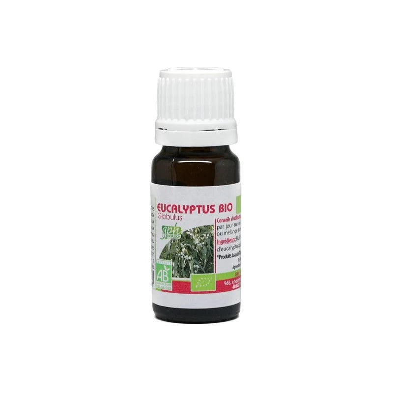 gph-diffusion-huile-essentielle-eucalyptus-globulus-bio-10-ml-para-enligne-maroc-1 GPH DIFFUSION EUCALYPTUS GLOBULUS Huile Essentielle Bio 10 ml – Image 1
