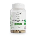 BELLE & BIO Harpagophytum Bio 120 Gélules Complément Alimentaire Articulations Mobilité Confort Articulaire