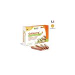 MGD GELINSENG boite 20 ampoules