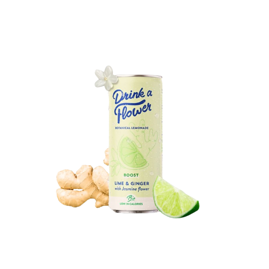 testes-13-Nova-para-prix-Maroc Drink a Flower Limonade Botanique Gingembre Citron Vert 250ml Boisson Naturelle Artisanale Rafraîchissante Épicée – Image 1